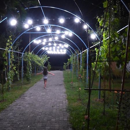 Villa "Zepuri" Dushet'i Luaran gambar
