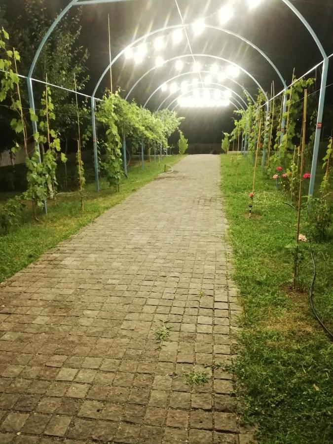 Villa "Zepuri" Dushet'i Luaran gambar
