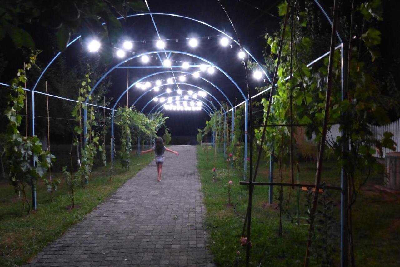 Villa "Zepuri" Dushet'i Luaran gambar