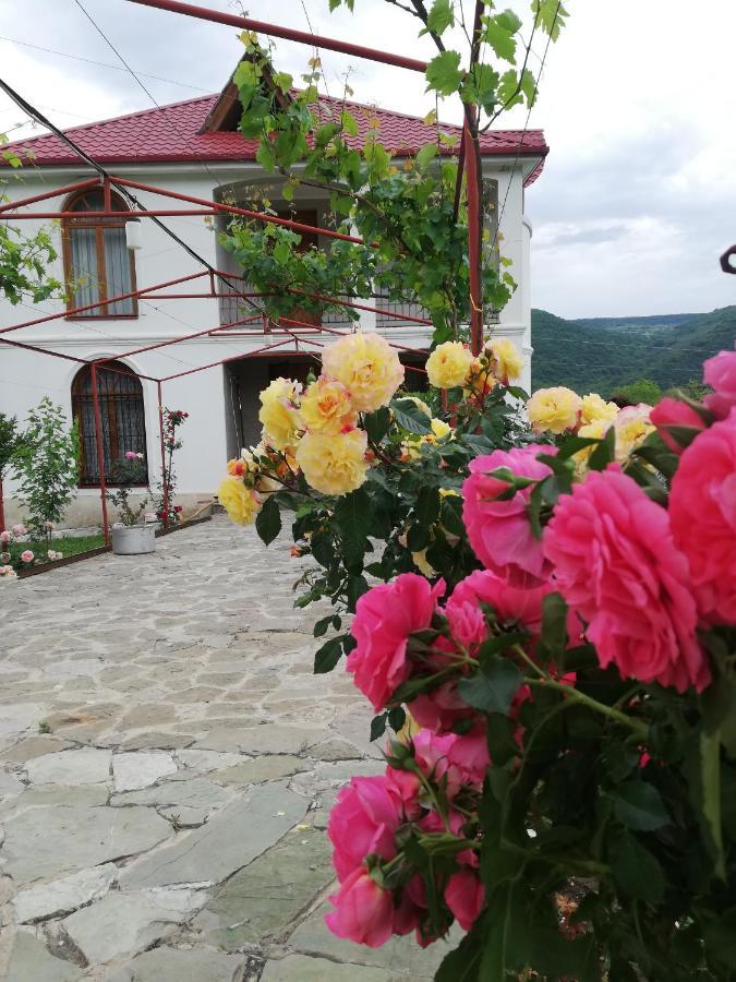 Villa "Zepuri" Dushet'i Luaran gambar